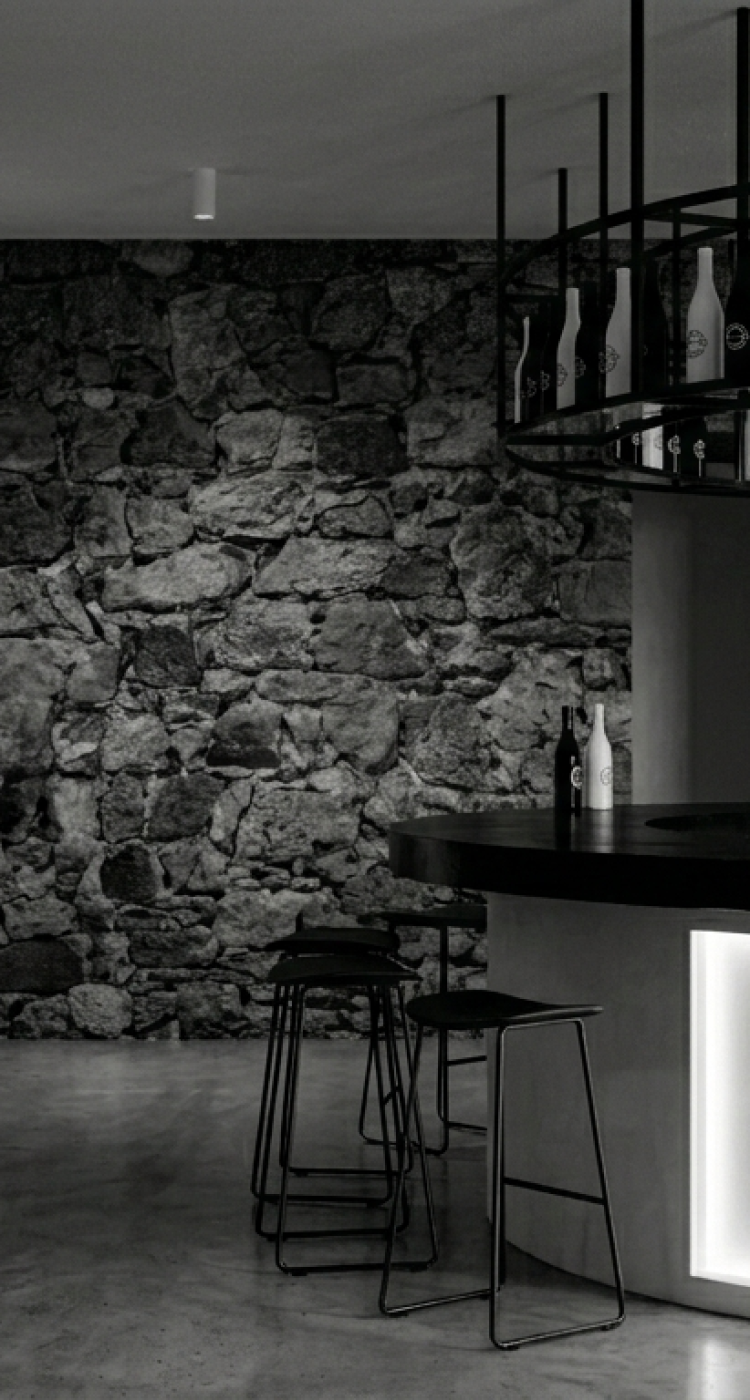 Gemini_Generated_Image_gk6q2fgk6q2fgk6q